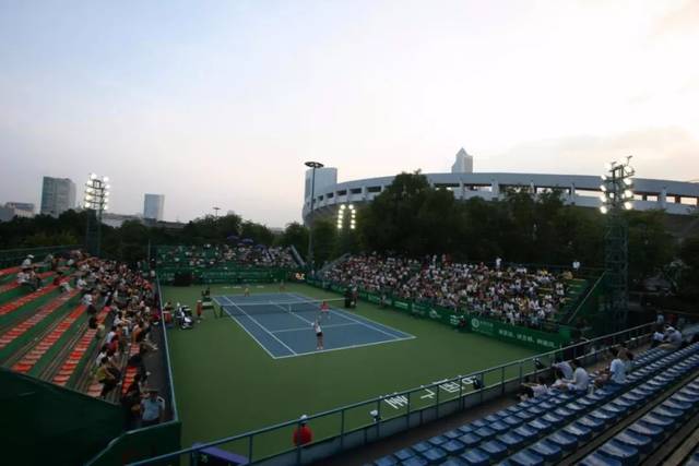 独树一帜 独树一帜