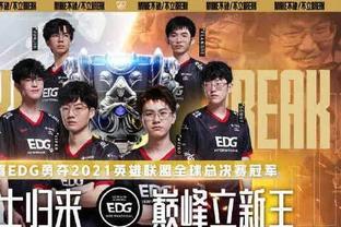 战蓝鹰的案